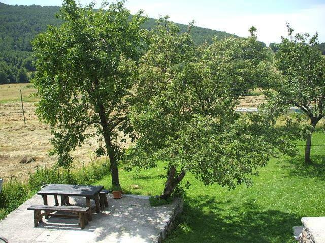 Apartment Ema Stolac ภายนอก รูปภาพ